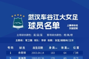 2025中国太平女超联赛12支参赛球队名单 ​​​