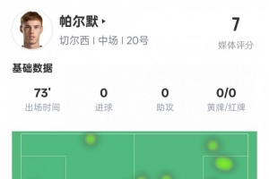 帕尔默本场数据：1失点3次过人均成功2关键传球，评分7.0