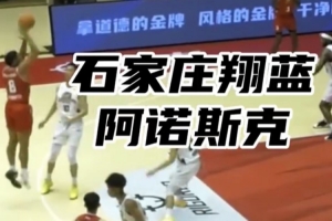 【集锦】NBL得分王阿诺斯克 能攻善守串联球队&全能战士彰显实力