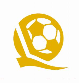 “462杯”中国队伍介绍：6支职业俱乐部梯队，恒大足校在列