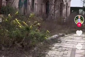 许家印恒大养生谷大别墅区已经完工，但荒凉的就只有鸟了 🫠