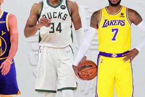 15秒带你了解nba球员特点，没毛病吧兄弟们！