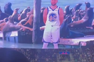 给库里干不好意思了！大屏节目：小佩顿和库里模仿海狮！