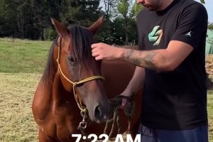 韦德：要拿冠军必须得做出牺牲！如果我不考虑冠军，那数据会很好