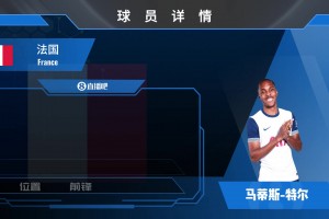 特尔球员集锦：锋线万金油 可胜任锋线所有位置