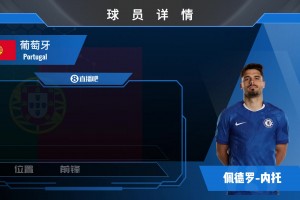 孙兴慜球员集锦：进球能力超群 职业素养极佳的韩国前锋