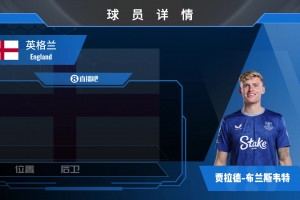 布兰斯韦特球员集锦：身材高大的传统英式中卫