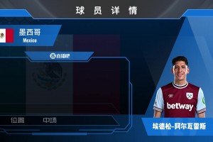 阿雷奥拉球员集锦：大赛经验丰富 反应速度极快的门将