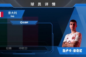 曼奇尼球员集锦：比赛风格凶狠 富有个性的球员