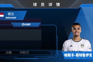 斯特鲁伊克球员集锦：绿茵场上的多面手