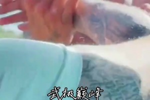 这身材看着太强壮了！崔永熙此前的野球集锦！打法太成熟了！