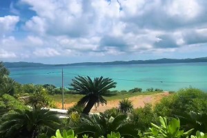 张琳芃妻子社媒发布度假视频：🌊海底小纵队已到达目的地🤿