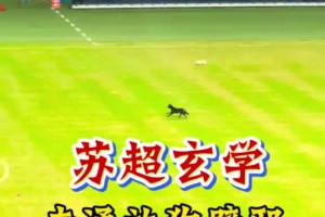 苏超玄学！听说你浪里马邪乎？我放黑狗去邪！南通5-0大胜淮安