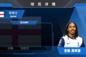 斯彭斯集锦：左右边卫皆可踢！英超被低估的边翼防守者